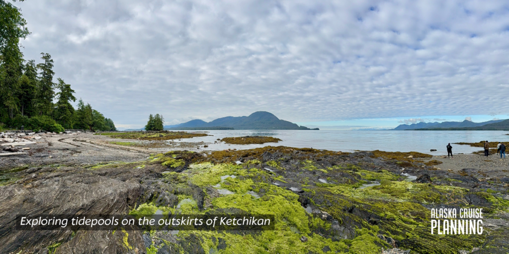 Wondering how to book Alaska cruise excursions? Here’s what to know about booking through the ship vs. going independent. Plus tips and expert recommendations.